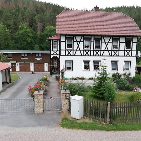 Fewo An Der Klosterruine Paulinzella Mit Kostenfreien Parkplatz Und Wlan Exteriér fotografie
