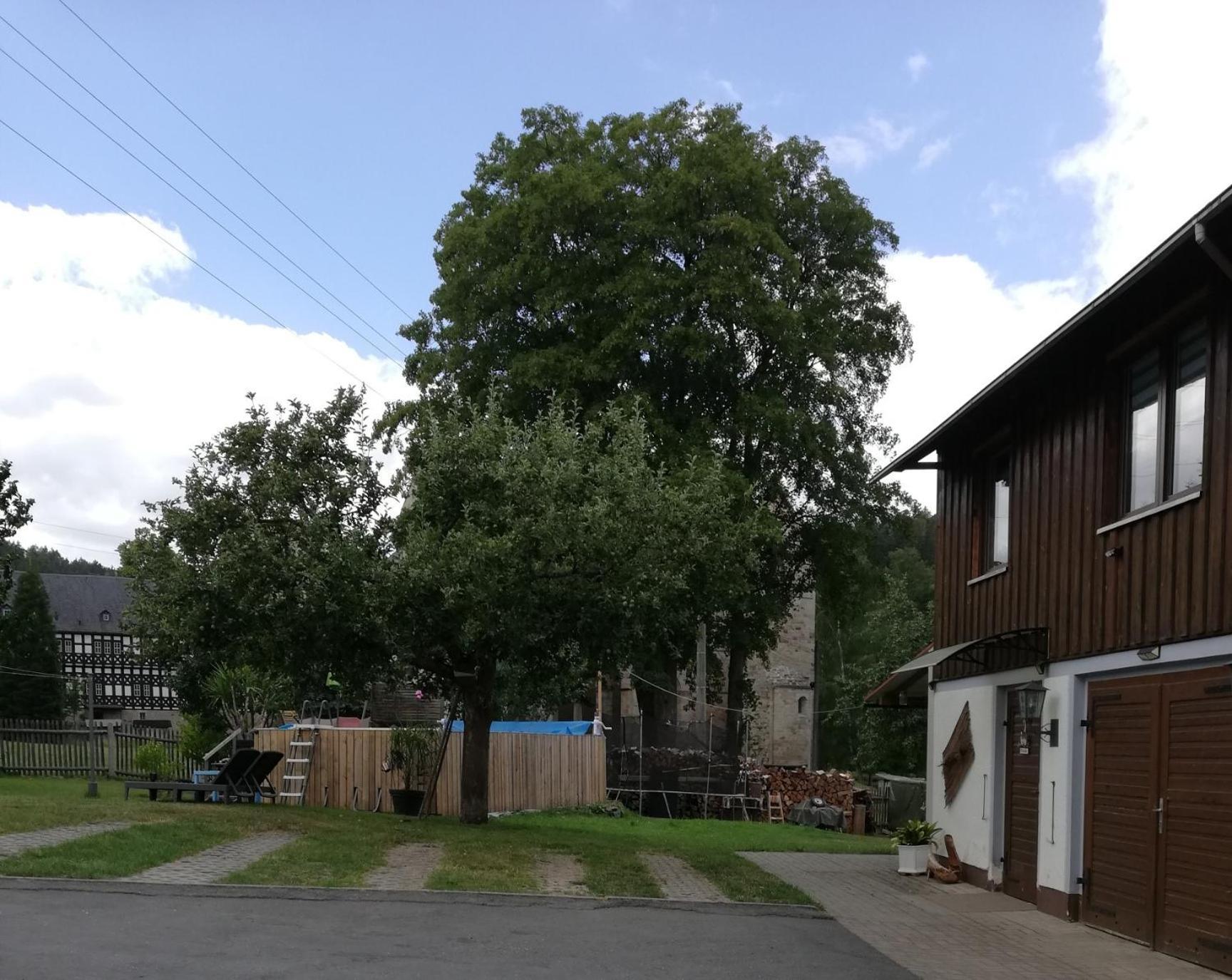 Fewo An Der Klosterruine Paulinzella Mit Kostenfreien Parkplatz Und Wlan Exteriér fotografie